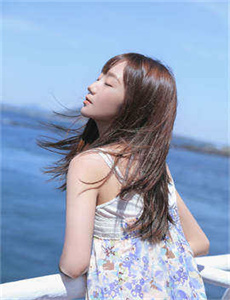 流浪狗2017